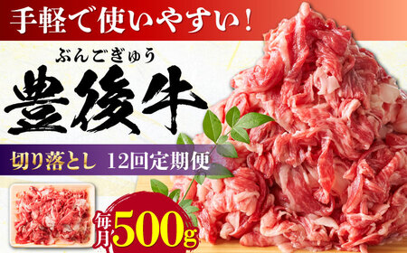 【全12回定期便】【使いやすい！】 おおいた豊後牛 牛肉 切り落とし 500g  牛肉切り落とし 豊後牛[AREI043]