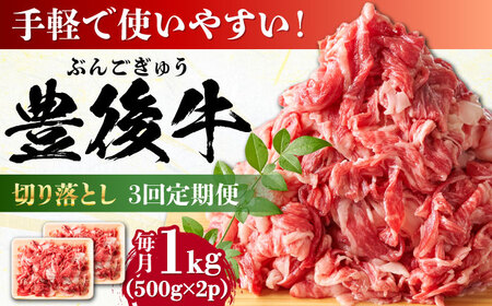 【全3回定期便】【小分けで便利！】おおいた豊後牛 牛肉 切り落とし 1kg (500g×2) 牛肉切り落とし 豊後牛 [AREI044]