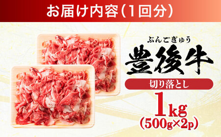 【全3回定期便】【小分けで便利！】おおいた豊後牛 牛肉 切り落とし 1kg (500g×2) 牛肉切り落とし 豊後牛 [AREI044]