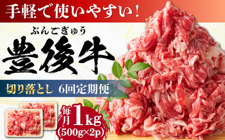 【全6回定期便】【小分けで便利！】おおいた豊後牛 牛肉 切り落とし 1kg (500g×2)  牛肉切り落とし 豊後牛 [AREI045]