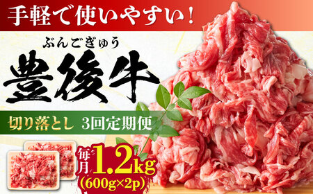 【全3回定期便】【大容量パック！】 おおいた豊後牛 牛肉 切り落とし 1.2kg (600g×2) 牛肉切り落とし 豊後牛 [AREI047]