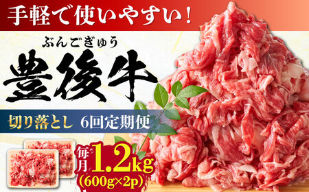 【全6回定期便】【大容量パック！】 おおいた豊後牛 牛肉 切り落とし 1.2kg (600g×2) 牛肉切り落とし 豊後牛[AREI048]