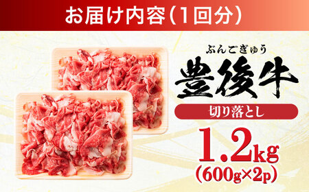 【全12回定期便】【大容量パック！】 おおいた豊後牛 牛肉 切り落とし 1.2kg (600g×2)  牛肉切り落とし 豊後牛[AREI049]