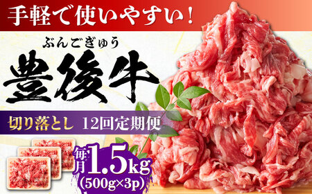 【全12回定期便】【たっぷり大満足！】おおいた豊後牛 牛肉 切り落とし 1.5kg (500g×3) 牛肉切り落とし 豊後牛 [AREI052]