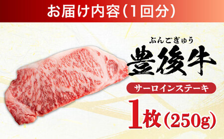 【全3回定期便】おおいた豊後牛 サーロインステーキ 250g (250g×1枚) サーロインステーキ [AREI053]