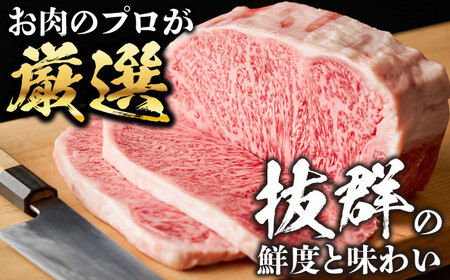 【全12回定期便】おおいた豊後牛 サーロインステーキ 500g (250g×2枚) サーロインステーキ [AREI058]