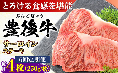 【全6回定期便】おおいた豊後牛 サーロインステーキ 1kg (250g×4枚) サーロインステーキ[AREI060]