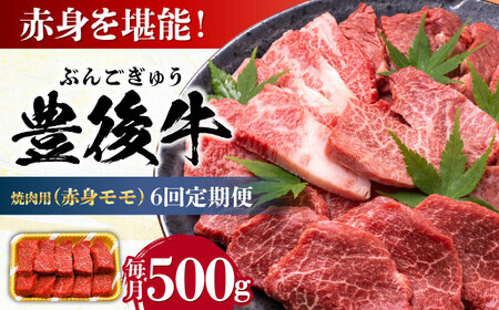 【全6回定期便】おおいた豊後牛 赤身モモ 焼肉用 500g  赤身 モモ 焼肉  冷凍 豊後牛 BBQ [AREI093]
