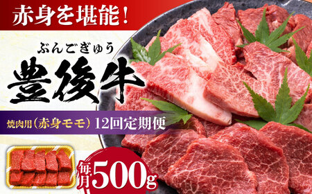 【全12回定期便】おおいた豊後牛 赤身モモ 焼肉用 500g  赤身 モモ 焼肉  冷凍 豊後牛 BBQ[AREI094]