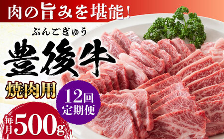 【全12回定期便】おおいた豊後牛 焼肉用 500g 赤身 モモ 焼肉  冷凍 豊後牛 BBQ[AREI100]