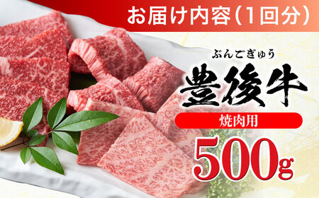【全12回定期便】おおいた豊後牛 焼肉用 500g 赤身 モモ 焼肉  冷凍 豊後牛 BBQ[AREI100]
