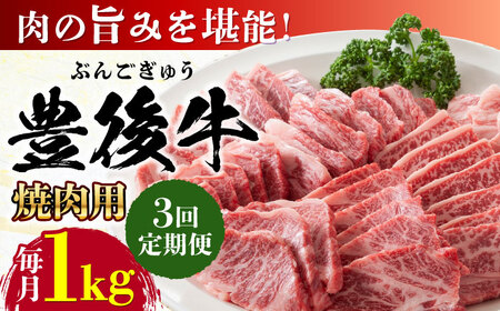 【全3回定期便】おおいた豊後牛 焼肉用 1kg(500g×2P) 赤身 モモ 焼肉  冷凍 豊後牛 BBQ [AREI101]