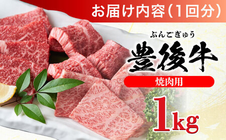 【全3回定期便】おおいた豊後牛 焼肉用 1kg(500g×2P) 赤身 モモ 焼肉  冷凍 豊後牛 BBQ [AREI101]