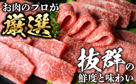 【全3回定期便】【訳あり】おおいた豊後牛 焼肉 切り落とし 500g 豊後牛 牛肉 焼肉 切り落とし 大分 冷凍 訳あり [AREI131]