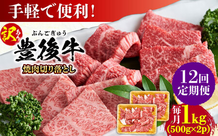 【全12回定期便】【訳あり】おおいた豊後牛 焼肉 切り落とし 1kg(500g×2P)  豊後牛 牛肉 焼肉 切り落とし 大分 冷凍 訳あり  [AREI136]