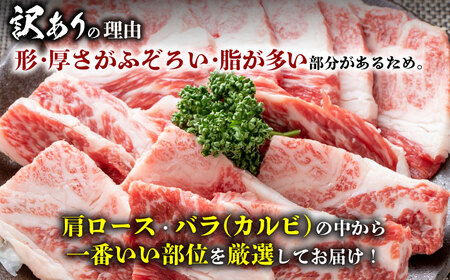 【全12回定期便】【訳あり】おおいた豊後牛 焼肉 切り落とし 1kg(500g×2P)  豊後牛 牛肉 焼肉 切り落とし 大分 冷凍 訳あり  [AREI136]
