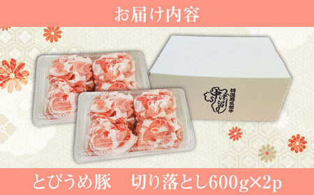 大分県日田産 とびうめ豚 切り落とし 1.2kg / 豚肉 切り落とし 大分 冷凍  [ARCM004]