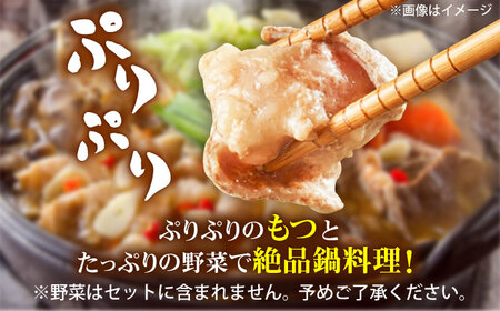 もつ鍋セット 2人前   大分県 日田市 もつ鍋 [ARAY001]