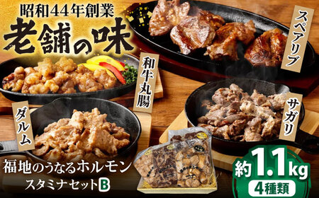 【お歳暮対象】スタミナセットB  4種類(豚スペアリブ・和牛丸腸・豚サガリ・豚ダルム) 計1,130g 日田市 豚肉 [ARAY002]