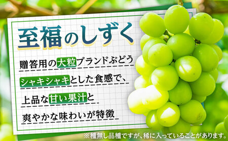 【先行予約・26年9月以降発送】進撃のシャインマスカット 1房 約700g ハンドバッグ付(超大型巨人) [AREJ002]