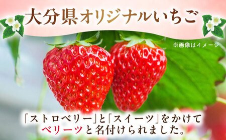 「ベリーツ」平大玉 約280g×2パック  日田市 / 株式会社スカイファーム[AREU001]