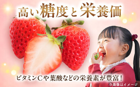 「ベリーツ」平大玉 約280g×2パック  日田市 / 株式会社スカイファーム[AREU001]