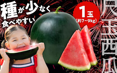 【先行予約・26年6月以降発送】【尺玉西瓜 1玉(約7kg～9kg) / スイカ /【配送不可地域：北海道・沖縄・離島】 [AREW001]