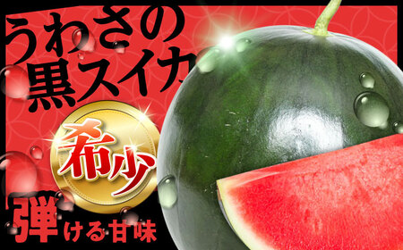 【先行予約・26年6月以降発送】【尺玉西瓜 1玉(約7kg～9kg) / スイカ /【配送不可地域：北海道・沖縄・離島】 [AREW001]