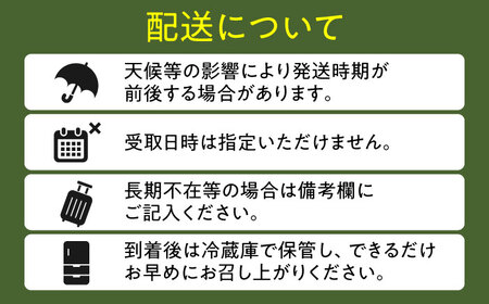【先行予約・26年6月以降発送】【尺玉西瓜 1玉(約7kg～9kg) / スイカ /【配送不可地域：北海道・沖縄・離島】 [AREW001]