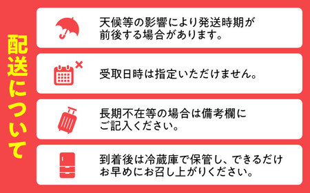 【先行予約・26年6月以降発送】日田西瓜（羅皇ザ・スウィート) 1玉 7～9kg / スイカ / 日田市 / JAおおいた【配送不可地域：北海道・沖縄・離島】[AREW002]