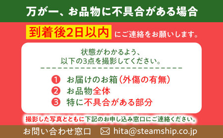 【先行予約・26年6月以降発送】日田西瓜（羅皇ザ・スウィート) 1玉 7～9kg / スイカ / 日田市 / JAおおいた【配送不可地域：北海道・沖縄・離島】[AREW002]