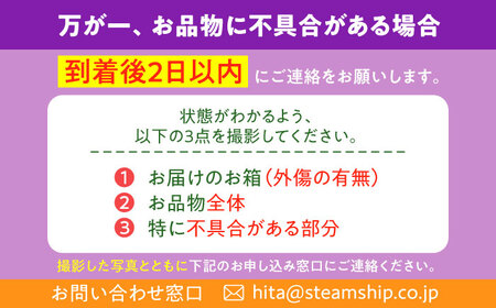 【先行予約・26年8月以降発送】 ピオーネ 1箱(600～700g)×2房 / ピオーネ / 【配送不可地域：北海道・沖縄・離島】 [AREW004]