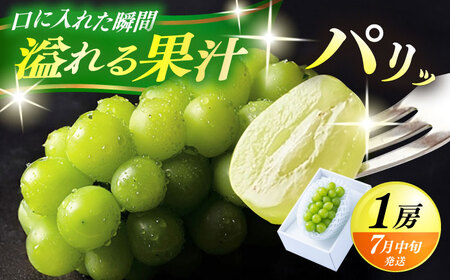 【先行予約・26年7月以降発送】日田産シャインマスカット1房(約500g)  シャインマスカット【配送不可地域：離島】 [ARET001]