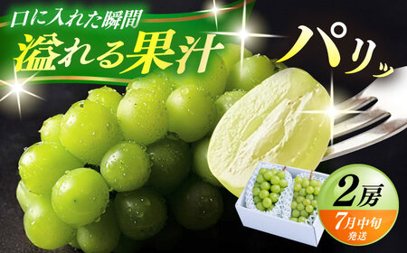 【先行予約・26年7月以降発送】日田産シャインマスカット2房(約1kg) シャインマスカット【配送不可地域：離島】[ARET002]