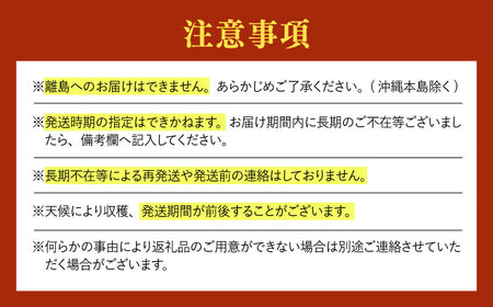 【先行予約・26年7月以降発送】日田産シャインマスカット2房(約1kg) シャインマスカット【配送不可地域：離島】[ARET002]