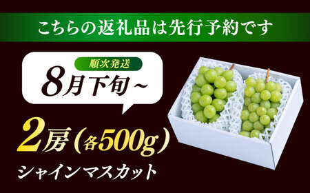 【先行予約・26年8月以降発送】日田産シャインマスカット2房(約1kg) ブドウ シャインマスカット【配送不可地域：離島】[ARET005]