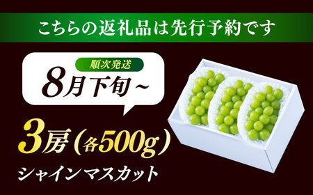 【先行予約・26年8月以降発送】日田産シャインマスカット3房(約1.5kg) ブドウ 葡萄 フルーツ 果物  シャインマスカット【配送不可地域：離島】[ARET006]