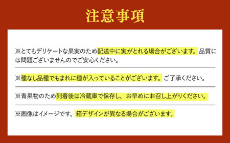 【先行予約・26年8月以降発送】日田産シャインマスカット3房(約1.5kg) ブドウ 葡萄 フルーツ 果物  シャインマスカット【配送不可地域：離島】[ARET006]