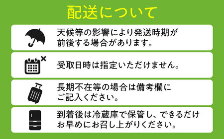 【先行予約・26年7月以降発送】旬の日田梨 お届け便 約5kg 梨 果物【配送不可地域：離島】 [ARET008]
