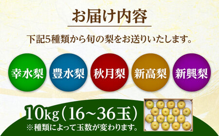 【先行予約・26年7月以降発送】旬の日田梨お届け便 約10kg 和梨 なし 果物【配送不可地域：離島】[ARET009]