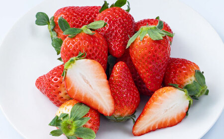 大分産ベリーツ(約250g×4パック) 大分県 日田市 いちご [ARET010]