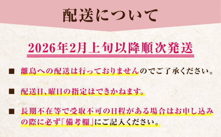 大分産ベリーツ(約250g×6パック) 大分県 日田市 いちご 【配送不可地域：離島】  [ARET011]