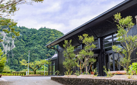 描き下ろし原画ラベル「進撃の巨人」梅酒-Bande- 500ml×2(化粧箱入) 梅酒 本格梅酒 梅 日田市 / 株式会社おおやま夢工房 [ARCW014]