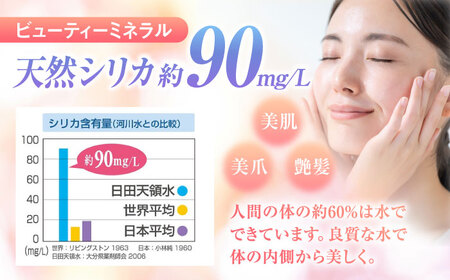 【全12回定期便】日田天領水(ラベルレス) 2L×10本 天然水 備蓄 防災 ミネラルウォーター シリカ [AREG058]