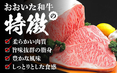 肉屋のまかないカレー(230g×8パック) 日田市 おおいた和牛 レトルト カレー [ARFE002]