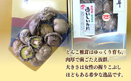 【最短1週間以内発送】【大分県産】おいしいたけ 原木どんこ椎茸(120g) しいたけ[AREX001]