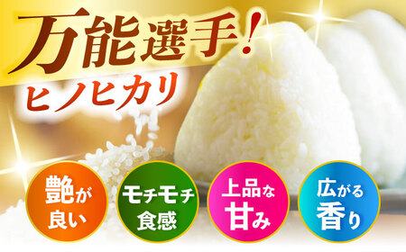 【先行予約】令和7年産 ヒノヒカリ 10kg 米 ひのひかり[ARDX020]