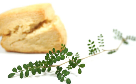 卵不使用スコーン12個セット(6種類×各2個)　日田市 / まるせ　詰め合わせ　卵アレルギー対応 焼き菓子[ARFH002]