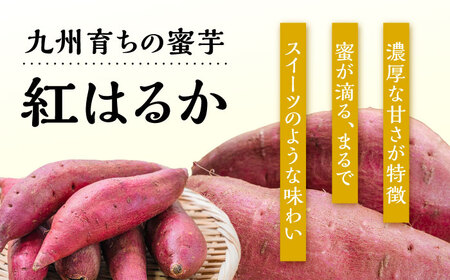 【九州産紅はるか干し芋】しっとりはるか90g×3袋セット　日田市 / 日本農林産食品製造株式会社 ほしいも  干しいも さつまいも[ARFV001]