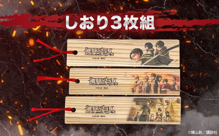 「進撃の巨人」選べる日田杉定規(1点)＆しおり(3枚組)セット　日田市 / 株式会社トライ・ウッド 文房具 アニメ キャラクターグッズ[ARCN009]